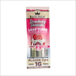 KINGPALM STRAWBERRY SHORTCAKE 2 MINIS 1 GR