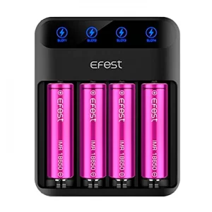 CARGADOR X4 BATERÍAS EFEST
